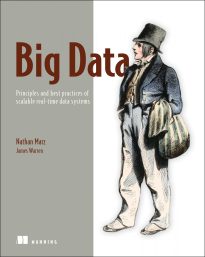 Big Data, Principles and Best Practices of Scalable Realtime Data Systems