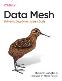 Data Mesh