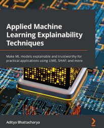 Applied Machine Learning Explainability Techniques