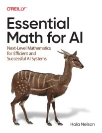 Essential Math for AI