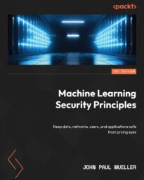 Machine Learning Security Principles