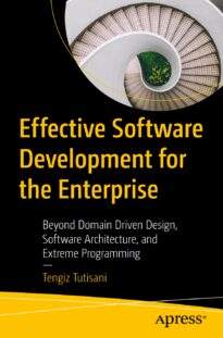 Effective Software Development for the Enterprise
