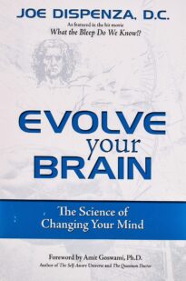 Evolve Your Brain
