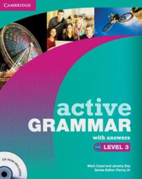 Active Grammar, Level 3