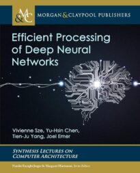 Efficient Processing of Deep Neural Networks