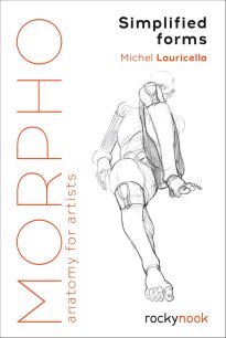 Morpho, Anatomy for Artists, Simplified Forms