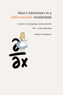 Alice's Adventures in a differentiable wonderland