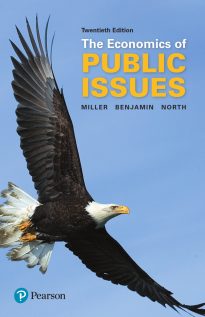 The Economics of Public Issues