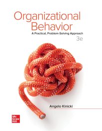 Organizational Behavior, A Practical, Problem-Solving Approach
